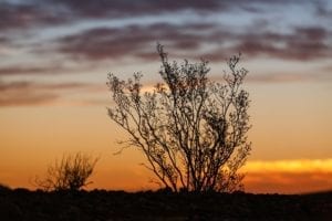 Perth to Broome tours where to stop?