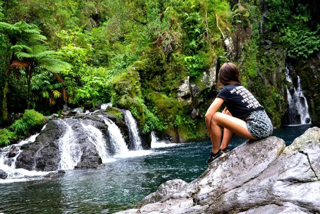 Daintree Rainforest Tours for Solo Travellers