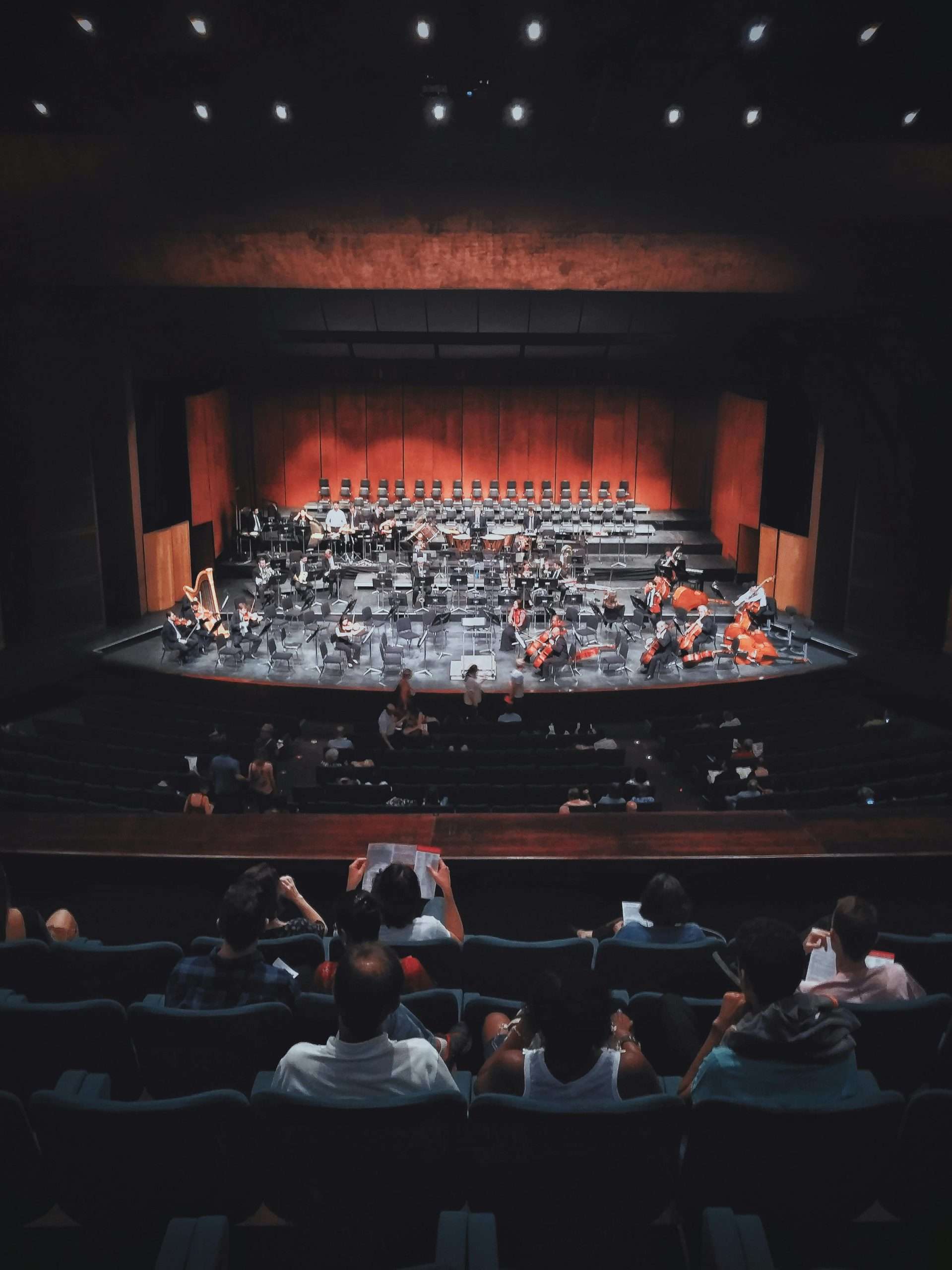pexels-prismattco-2372945 Concert Events in New South Wales Australia 2024