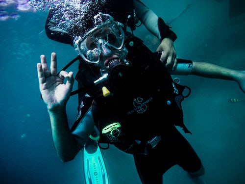 Diving Queensland 2019 Diving Queensland 2019