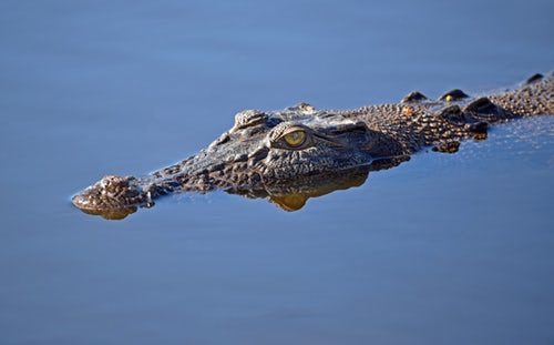 Tours the Kimberleys from Darwin