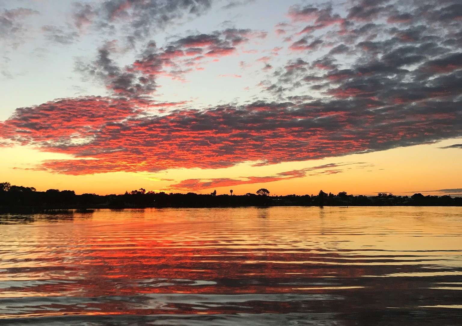Things to do in Mandurah for Kids