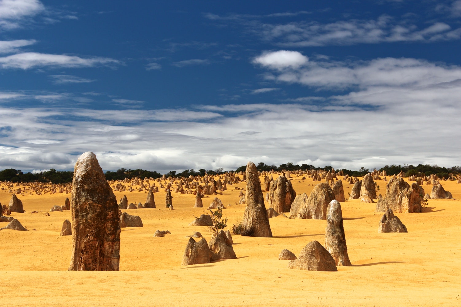 Day trip to the Pinnacles Desert WA