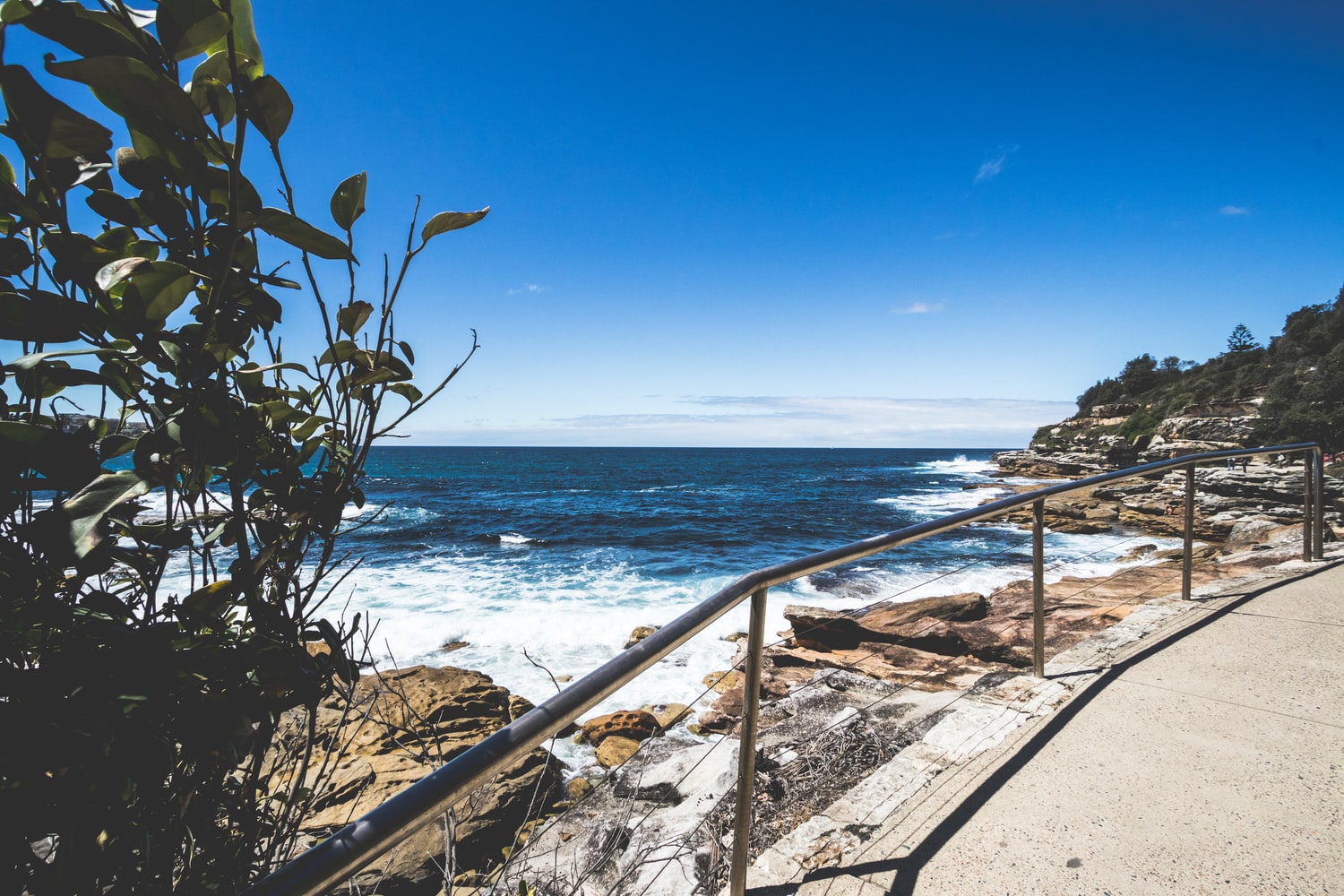 Sculpture By The Sea Bondi Sydney 2019 Sculpture By The Sea Bondi Sydney 2019