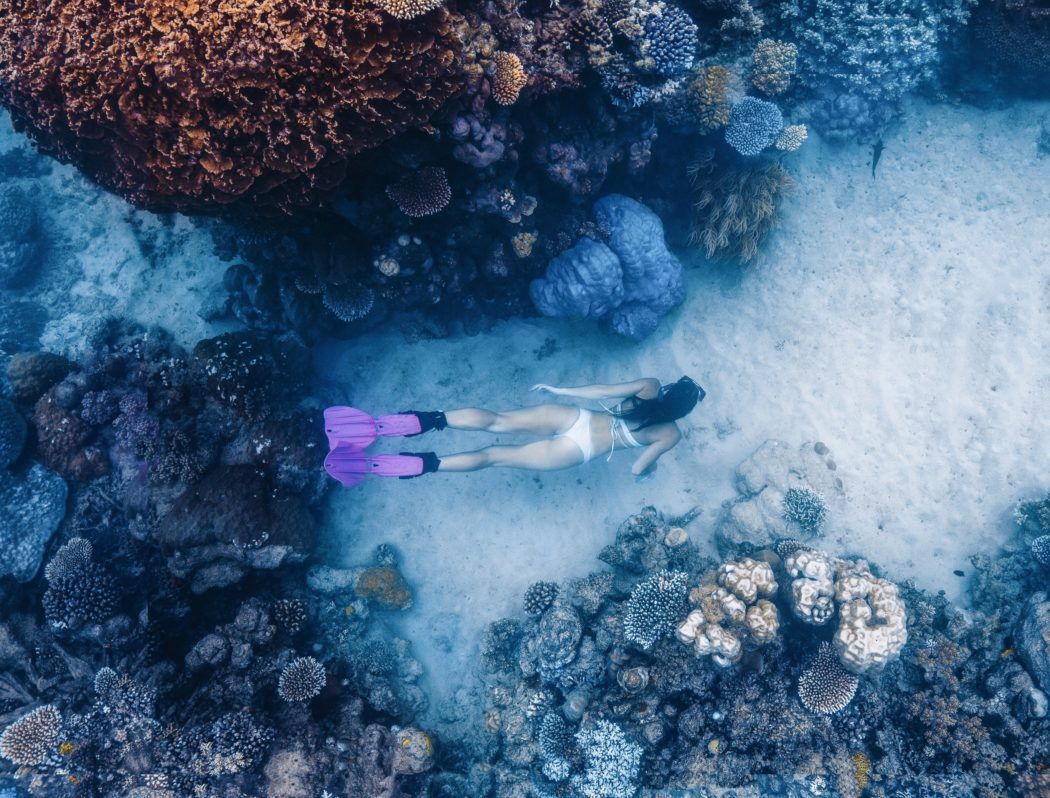 Snorkel The Great Barrier Reef’s “Secret” Spots
