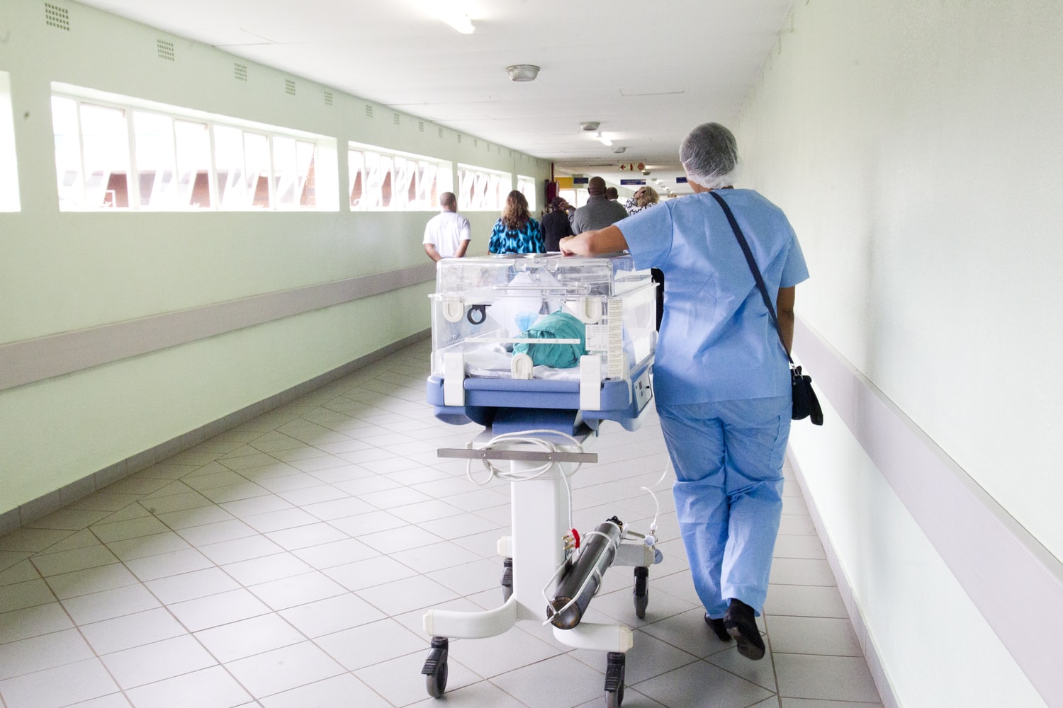 Working Holiday Healthcare Jobs In Sydney Australia Working Holiday Healthcare Jobs In Sydney Australia