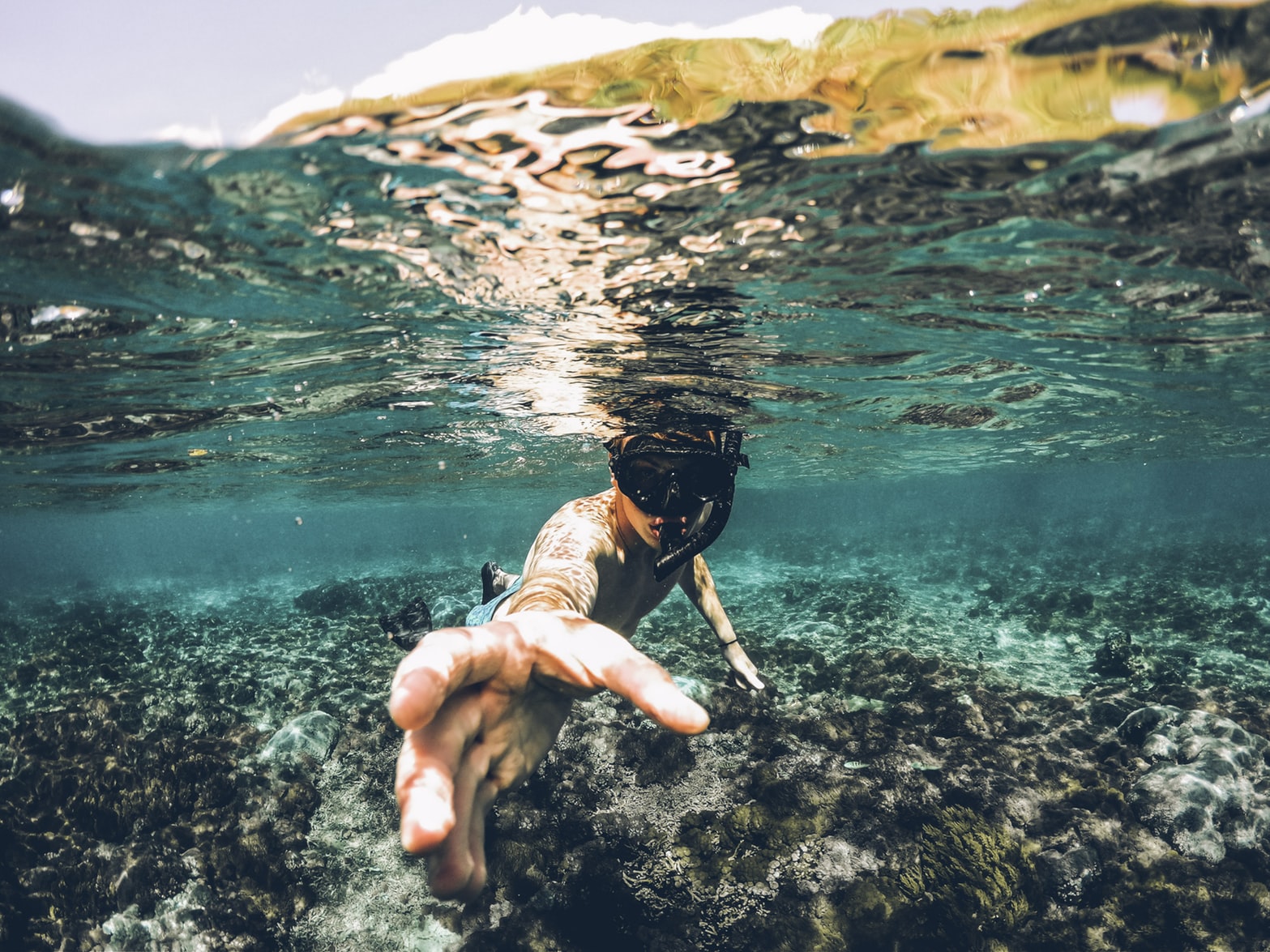Best Places To Snorkel In Sydney Best Places To Snorkel In Sydney