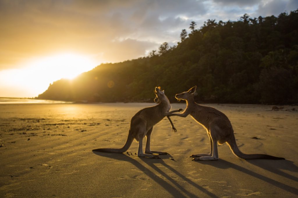 Adelaide to Perth Adventure Tour by Bus