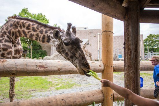 Fun Day Trips from Boston