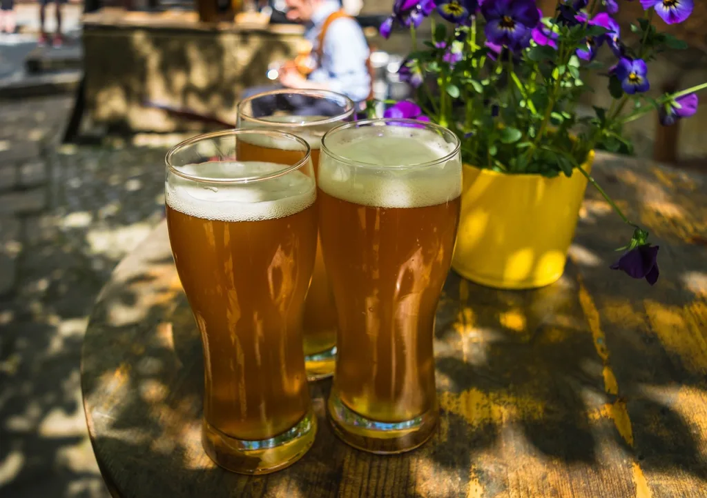Backpacker Bars and Pubs in Sydney