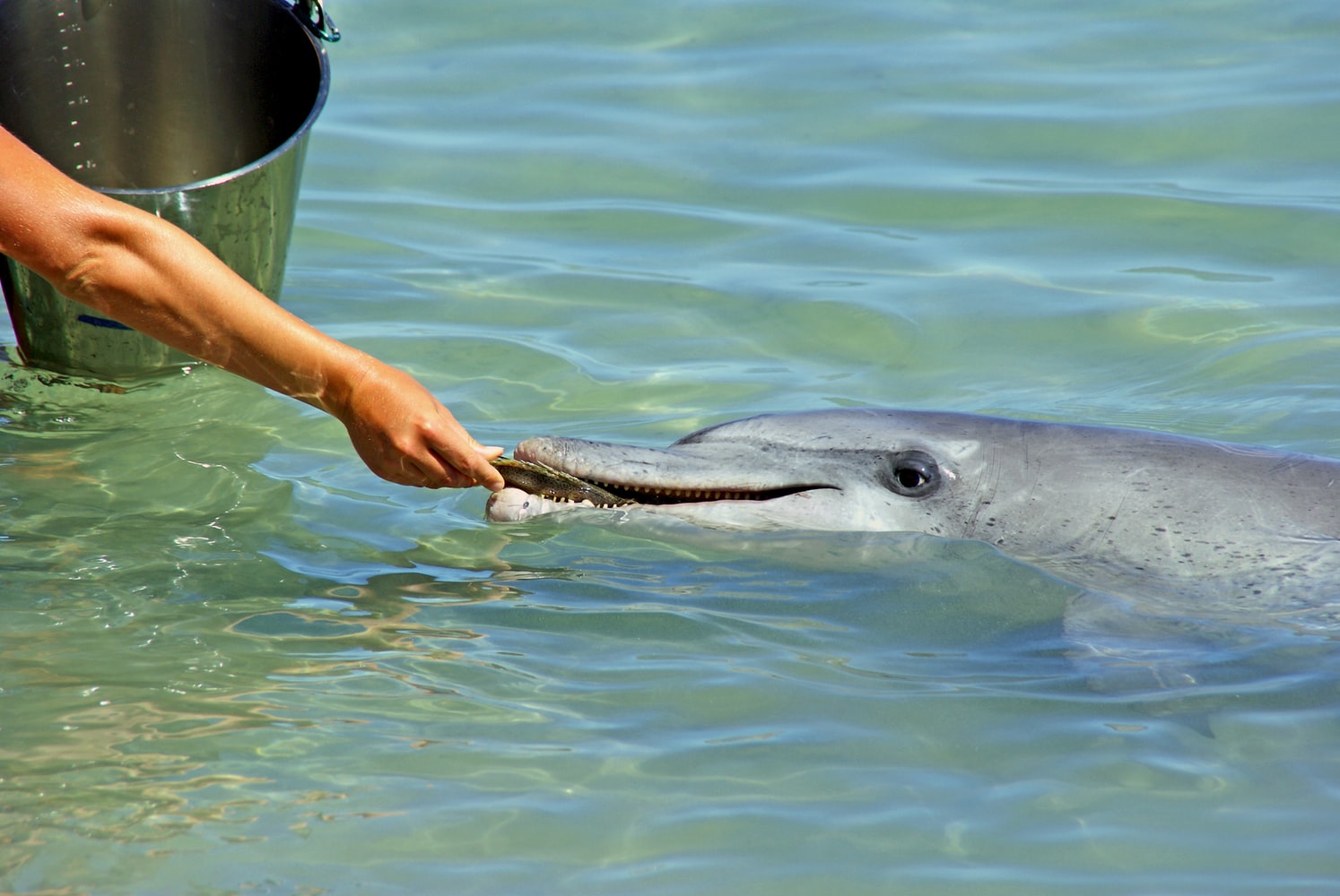 Exmouth to Monkey Mia Tours