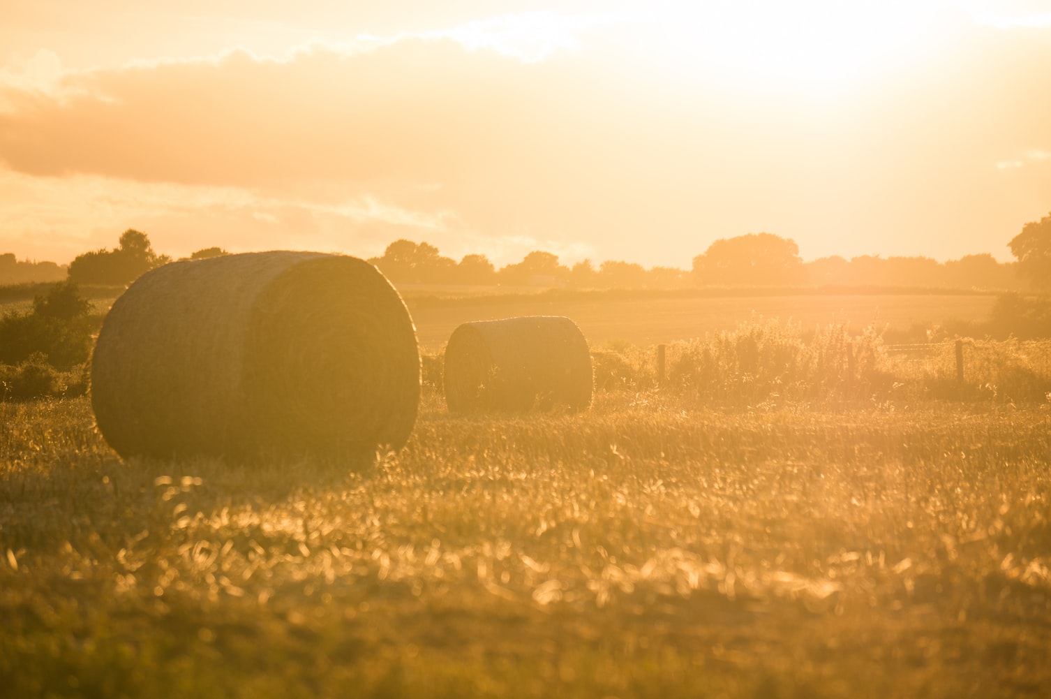 Temporary Work on Farms in Victoria