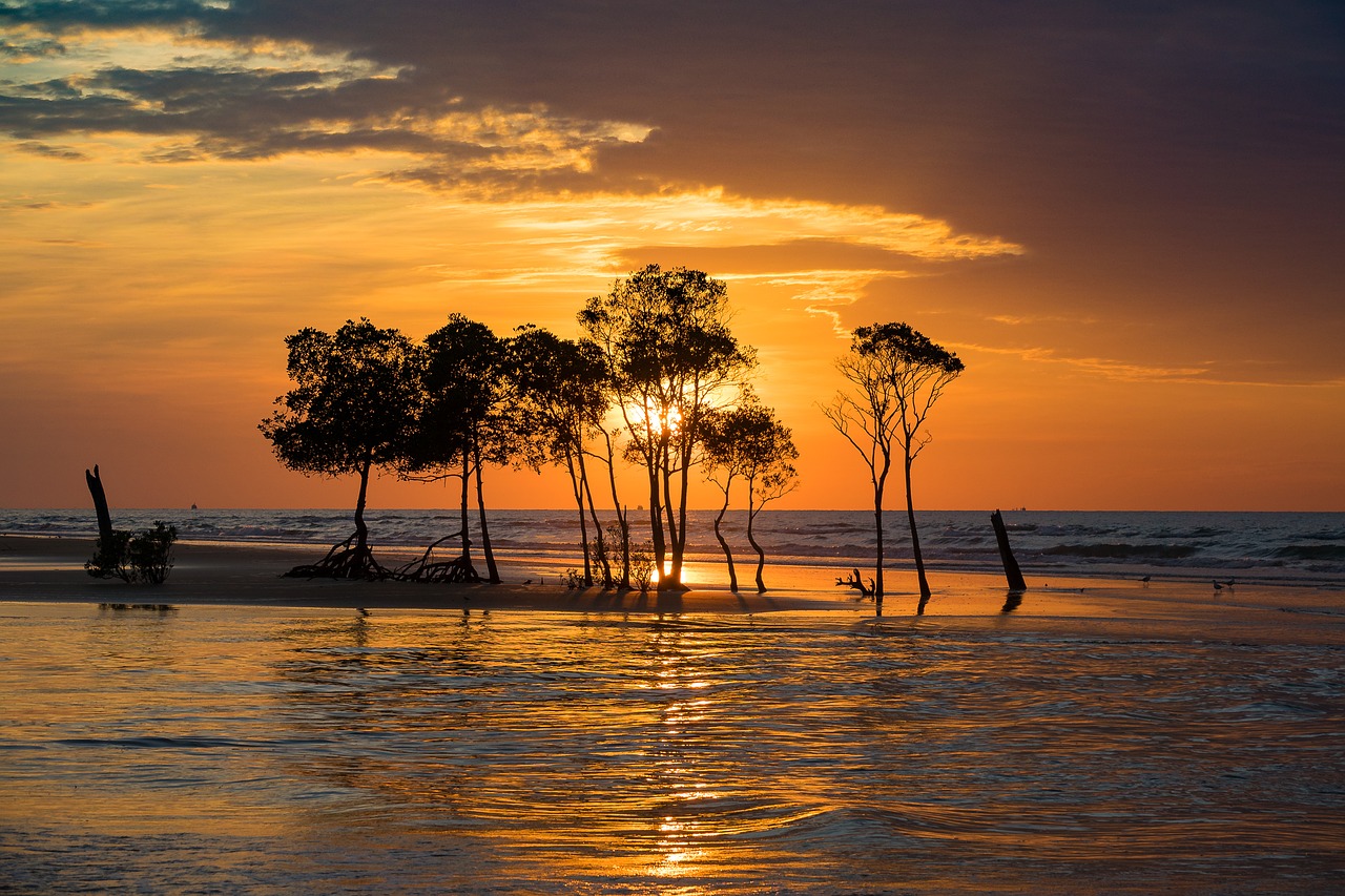 backpacker’s guide to darwin