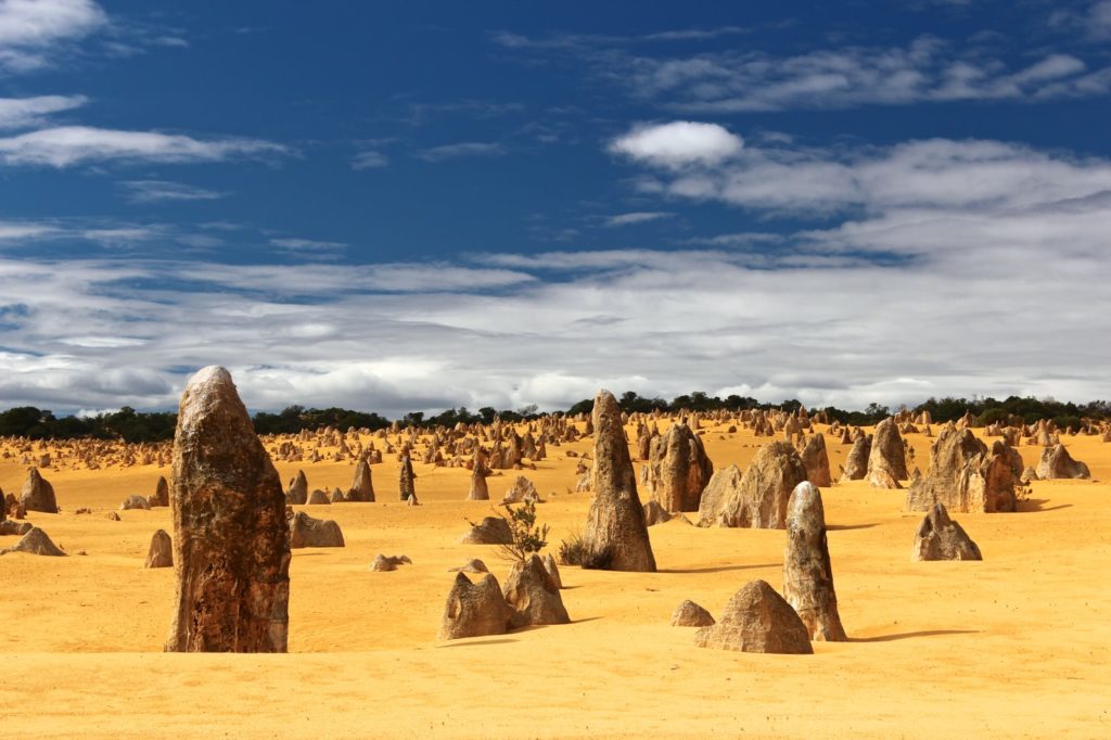 Day trip to the Pinnacles 