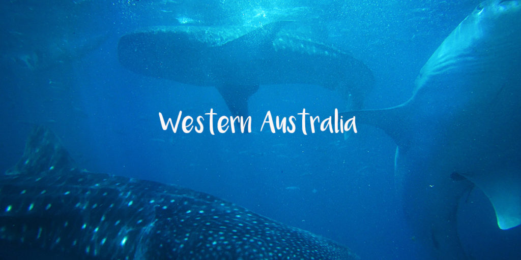 Exmouth Backpacker Tours Things To See