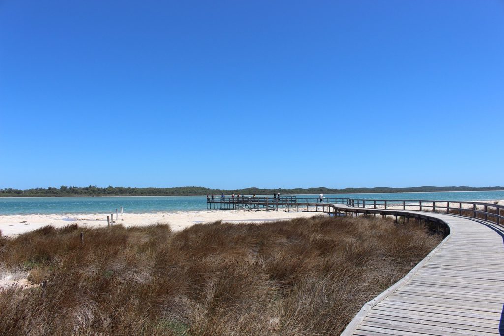 Day Trip from Perth to Lake Clifton