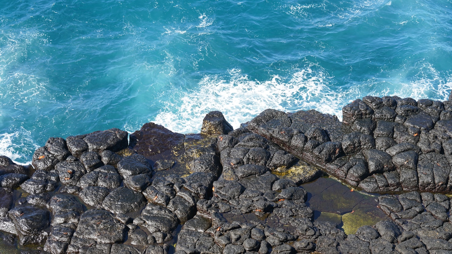 How to turn your Galapagos Islands dream into a reality in 2020 How to turn your Galapagos Islands dream into a reality in 2020