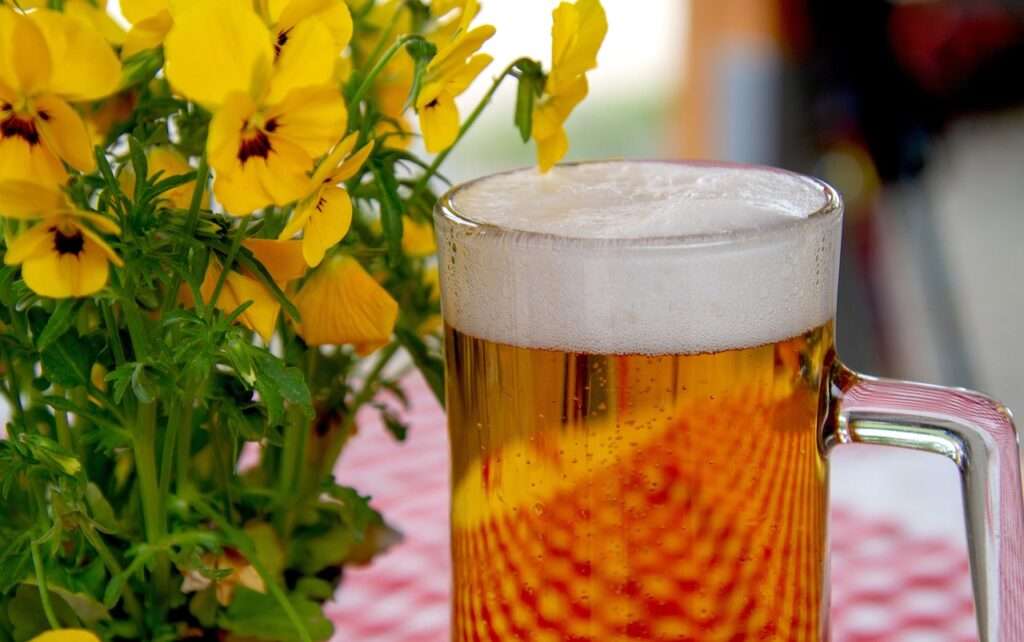 Best Backpacker Pub In Cairns