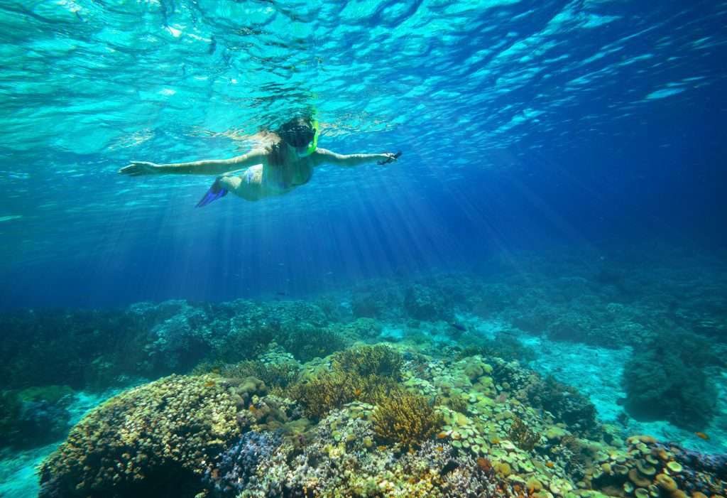 Amazing Snorkeling Spots Near Perth
