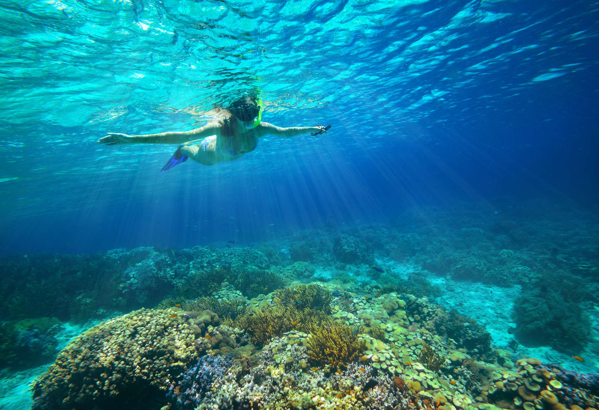 snorkel Amazing Snorkeling Spots Near Perth