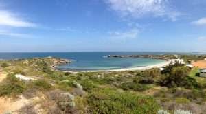 Amazing Snorkeling Spots Near Perth
