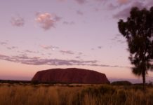 Alice Springs to Uluru Sightseeing Tours