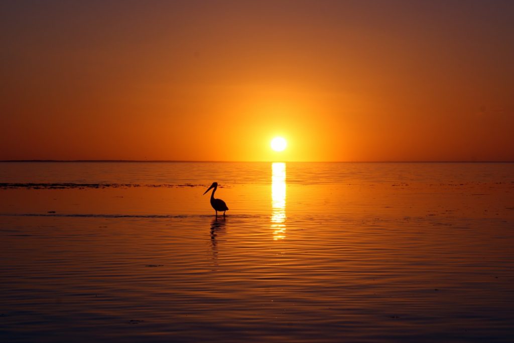 Pit Stop Guides: 24 Hours In Broome