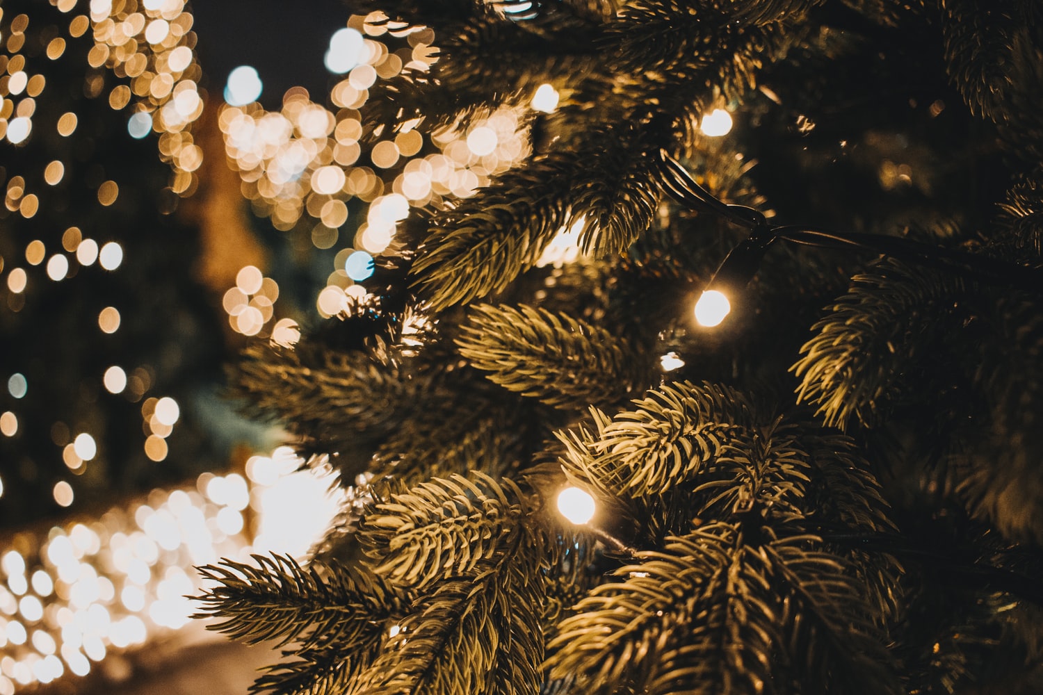 What's On At The Bat And Ball Sydney This Festive Season