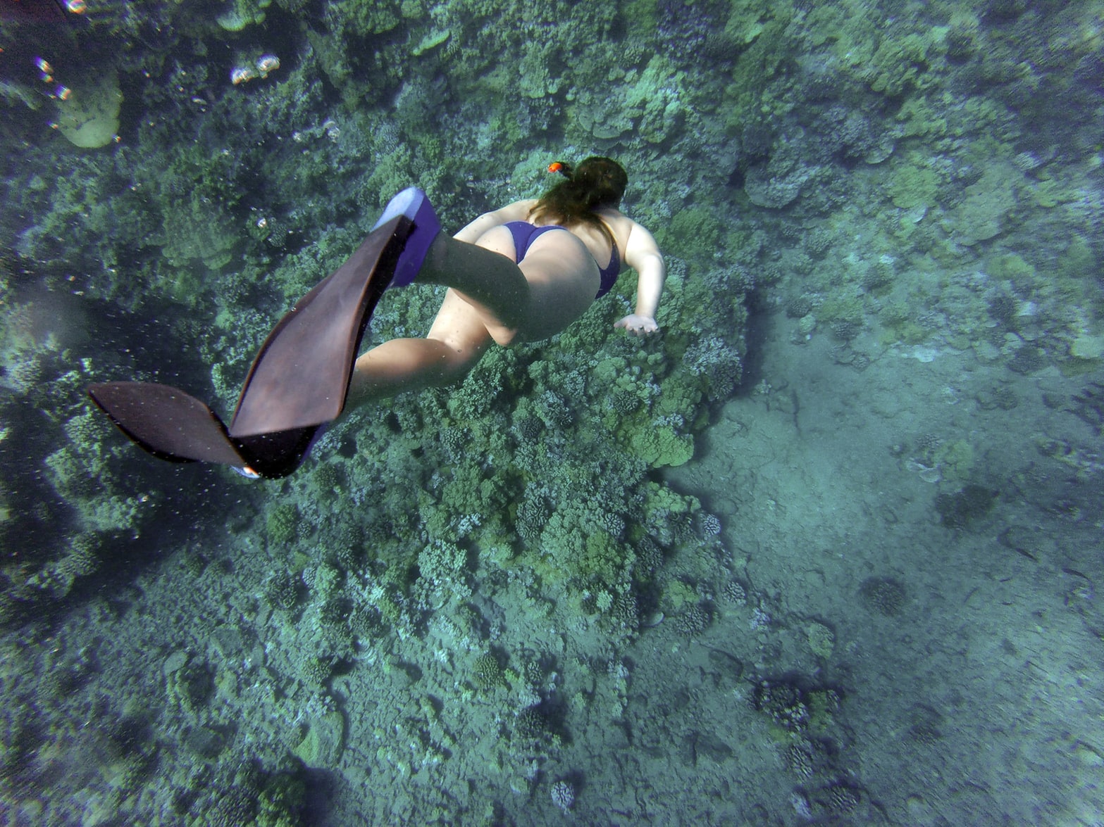 Best Beaches for Snorkelling in Melbourne