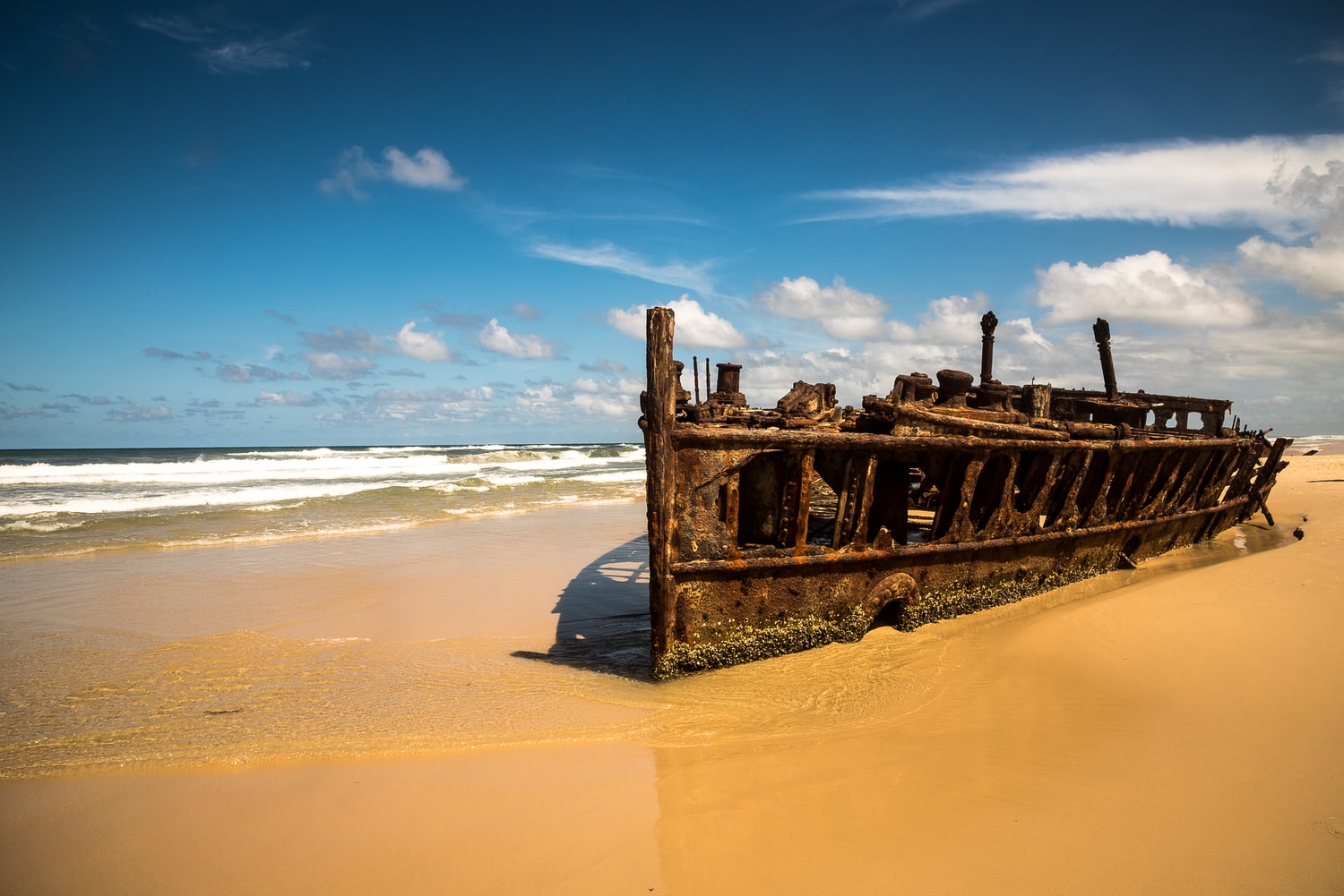 One Day Tours to Fraser Island for Backpackers One Day Tours to Fraser Island for Backpackers