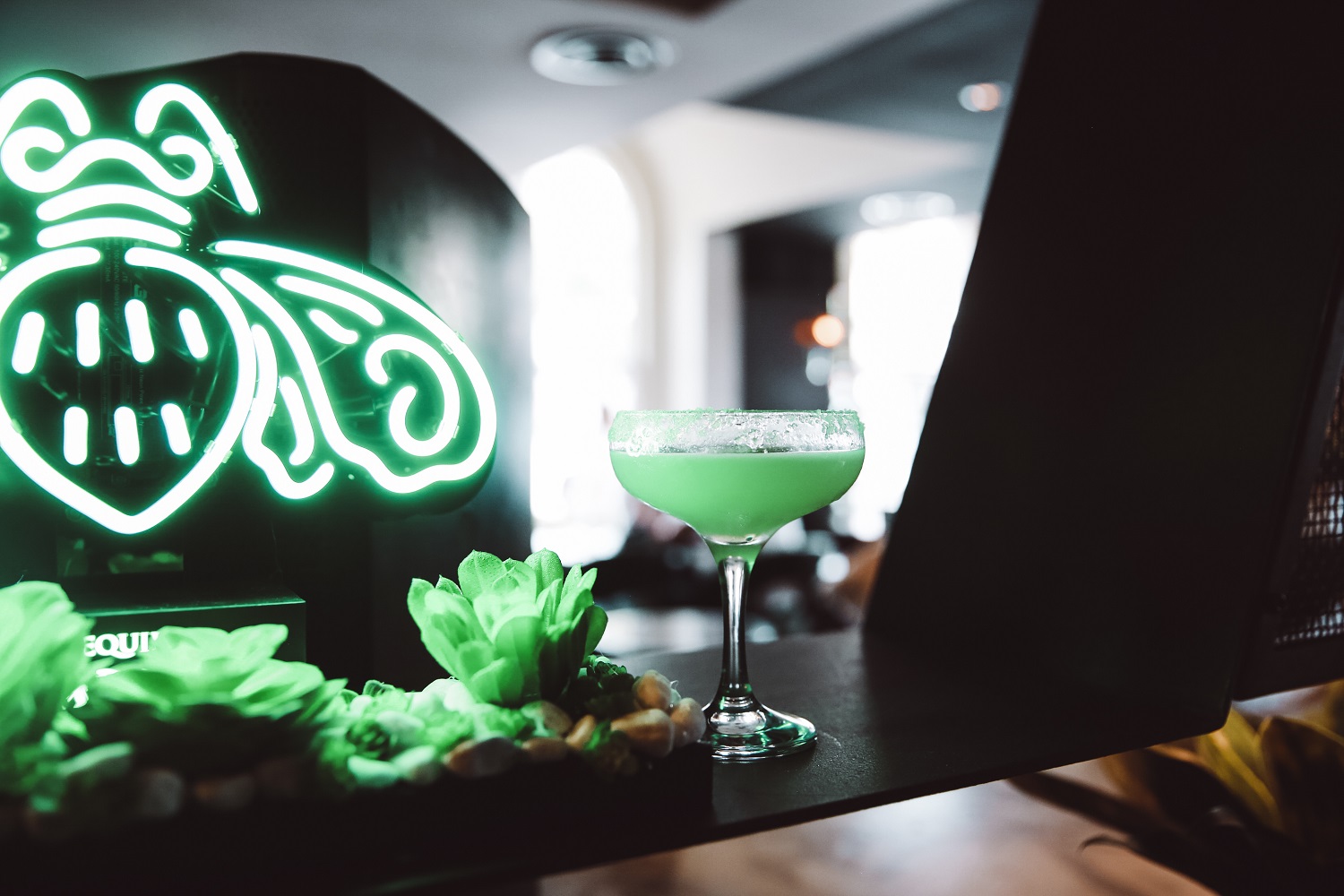 International Margarita Day International Margarita Day