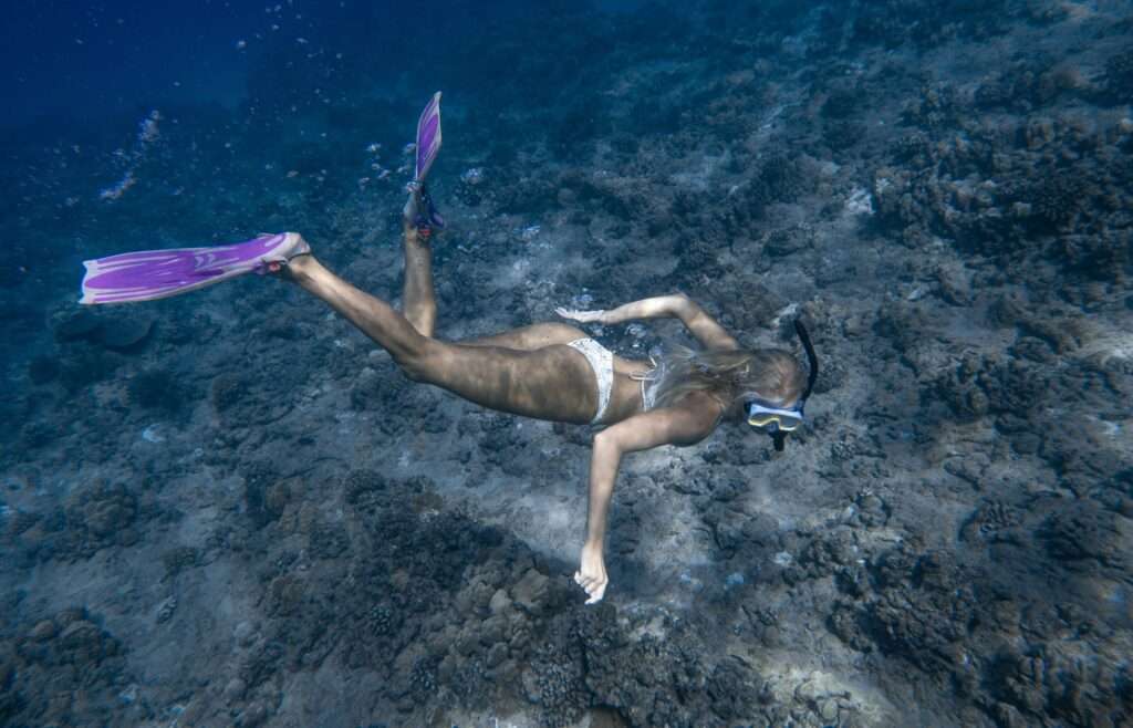 Snorkelling The Great Barrier Reef