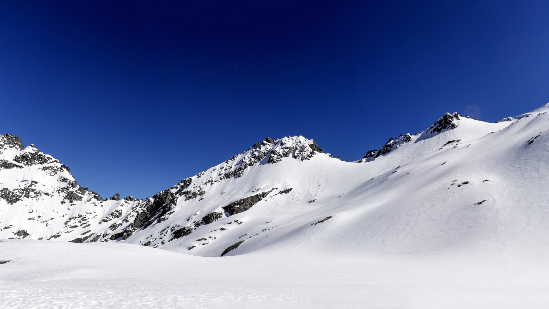 New Zealand Backpacker tours