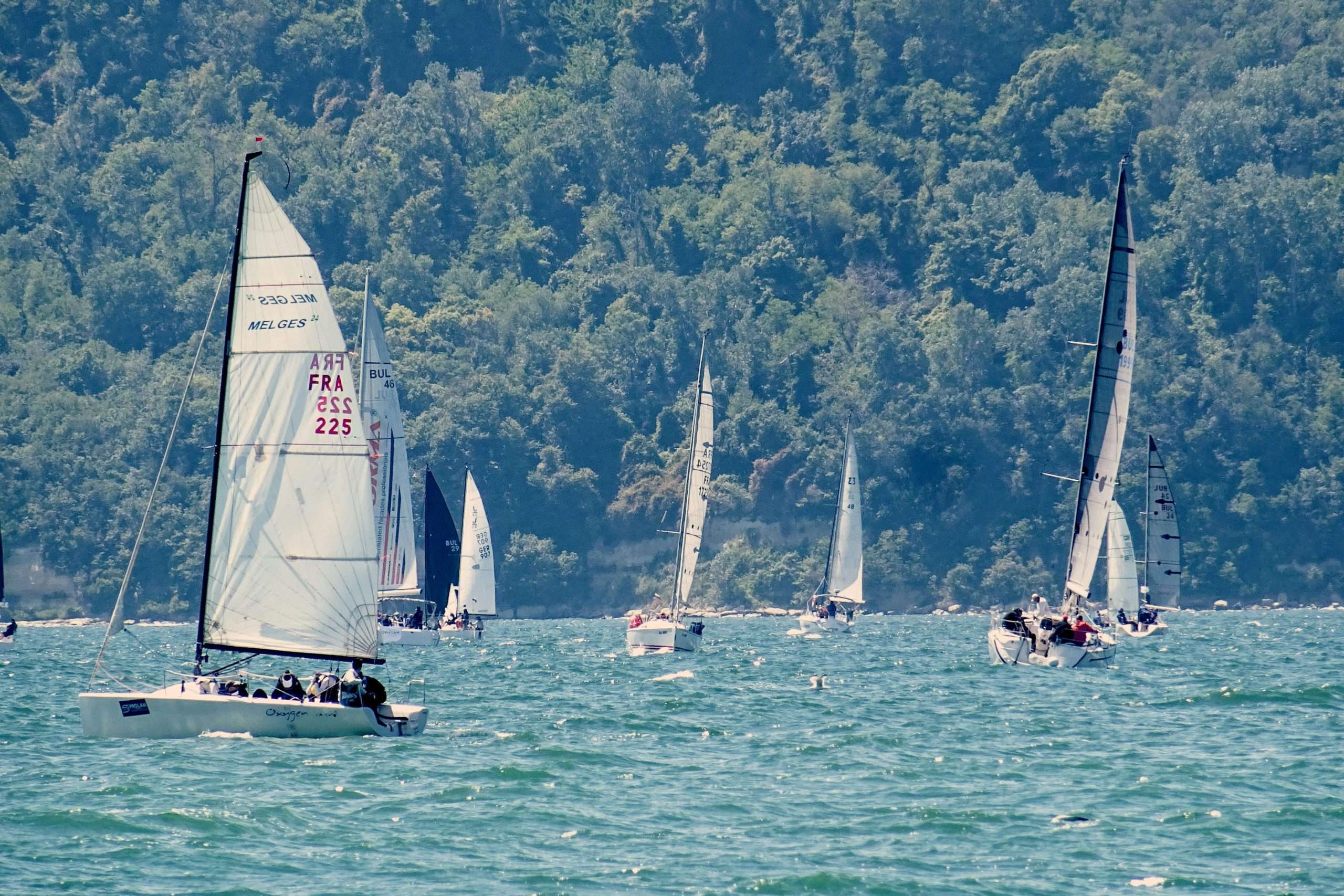 What’s on in Sydney this Summer?