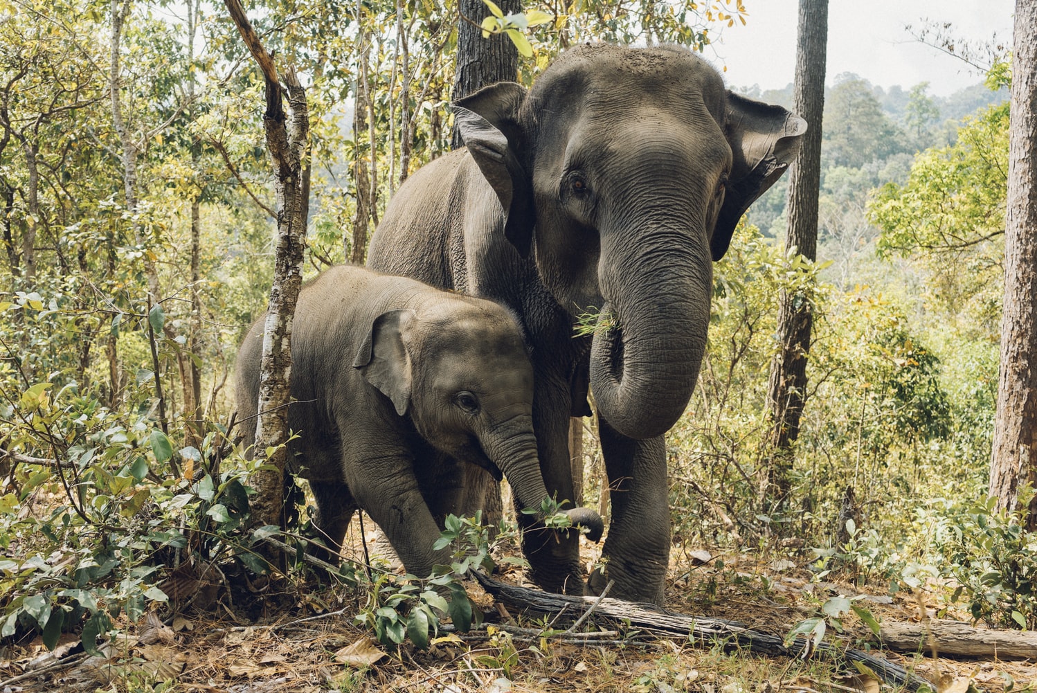 Holiday Destinations Every Animal Lover Must Visit Holiday Destinations Every Animal Lover Must Visit