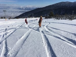 Snow in OZ 
