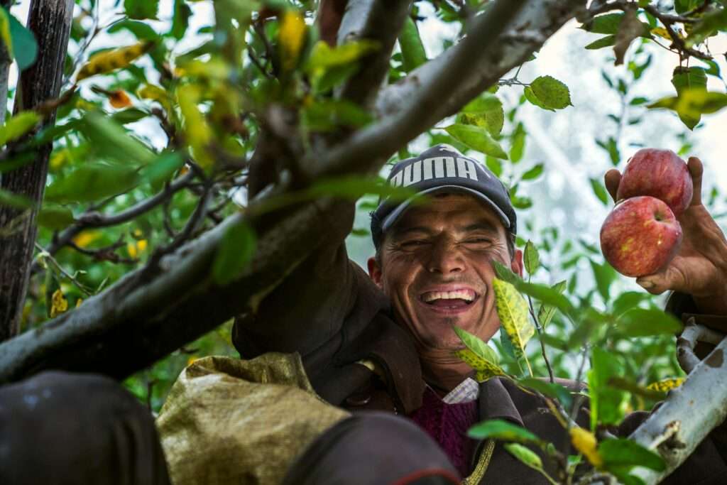 Farm Jobs in the Northern Territory 