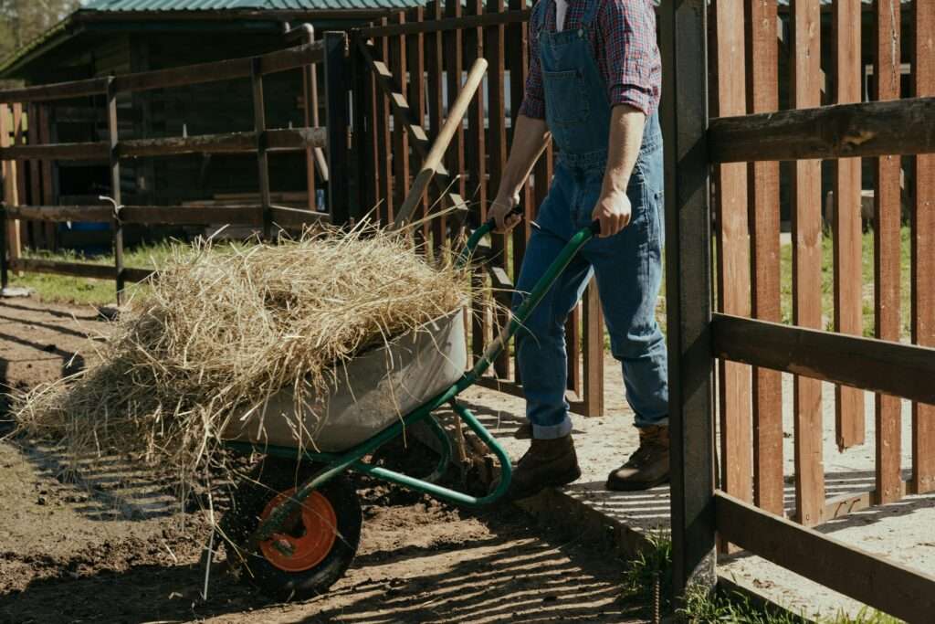 farm work in Western Australia: Dairy farm