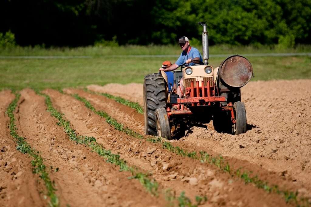 Farm Jobs in the Northern Territory 