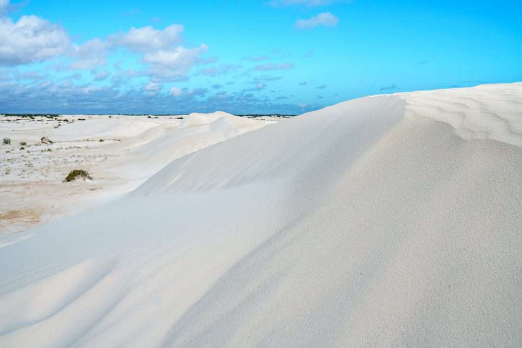 Things to do in Perth Today