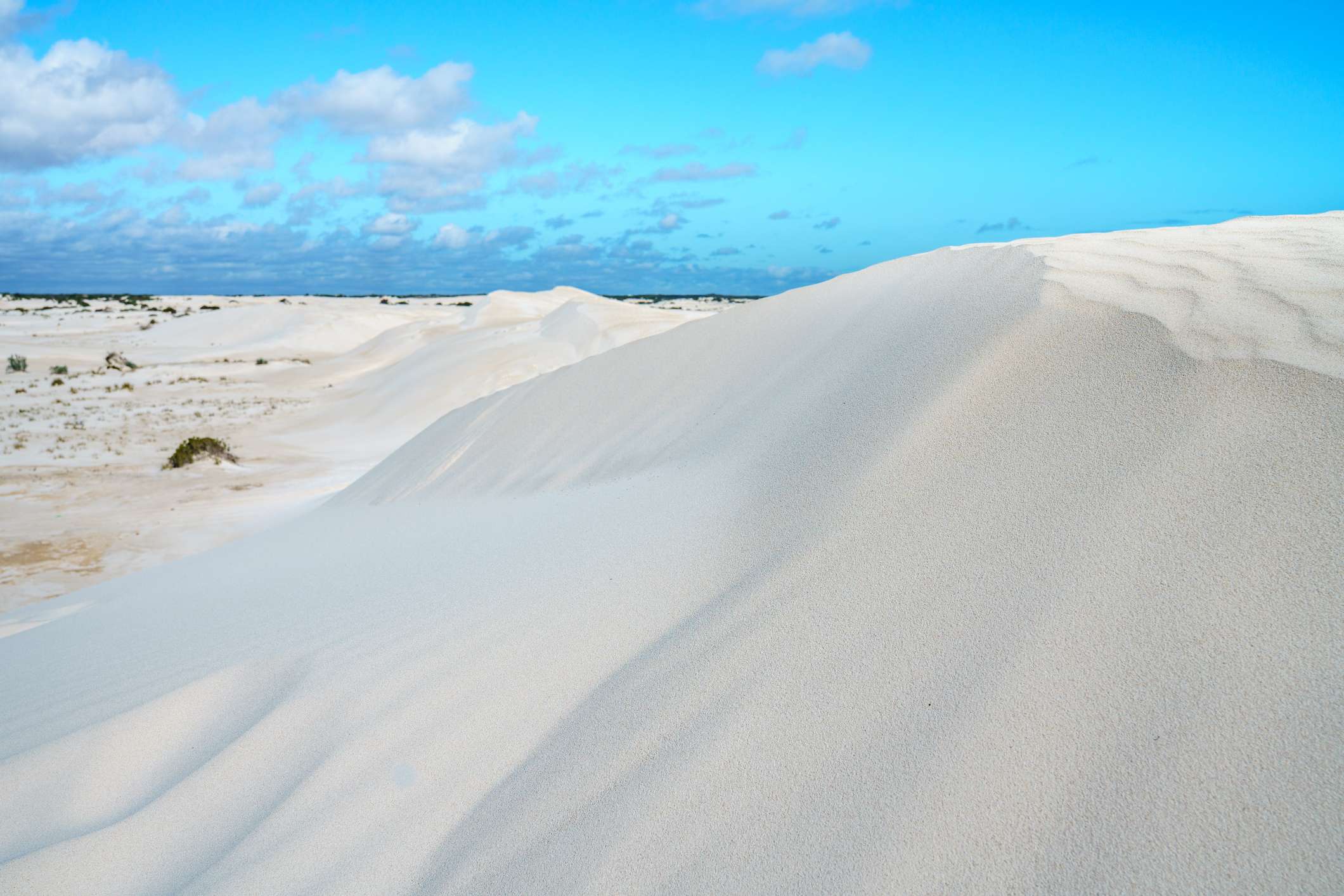 Things to do in Perth Today