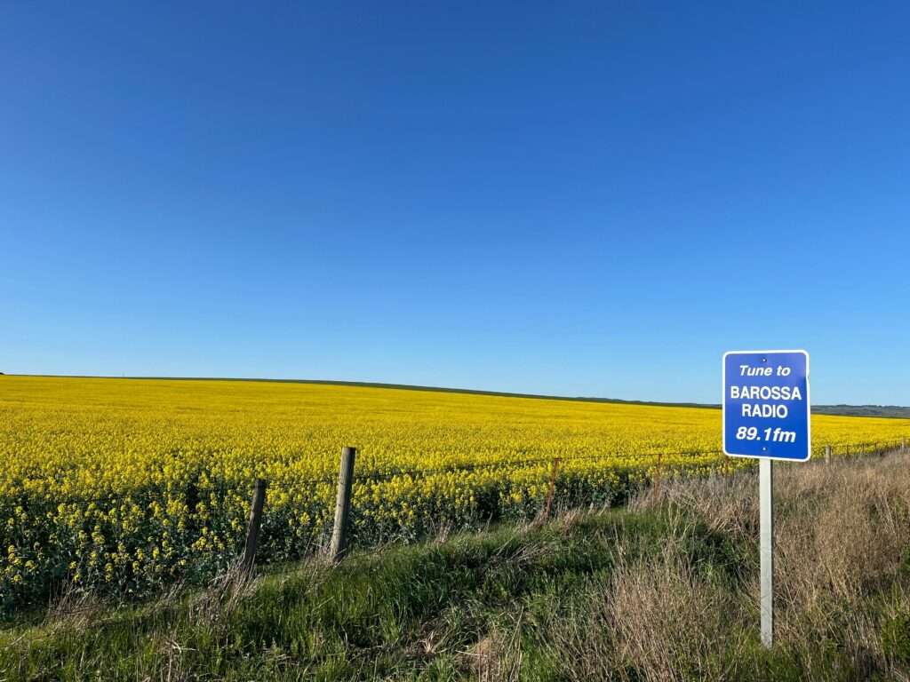 best things to do in south australia: barossa valley