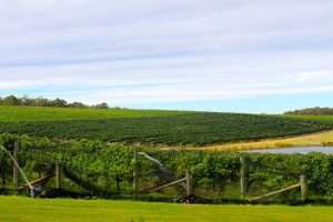 Things To Do in Margaret River Day Trips From Perth
