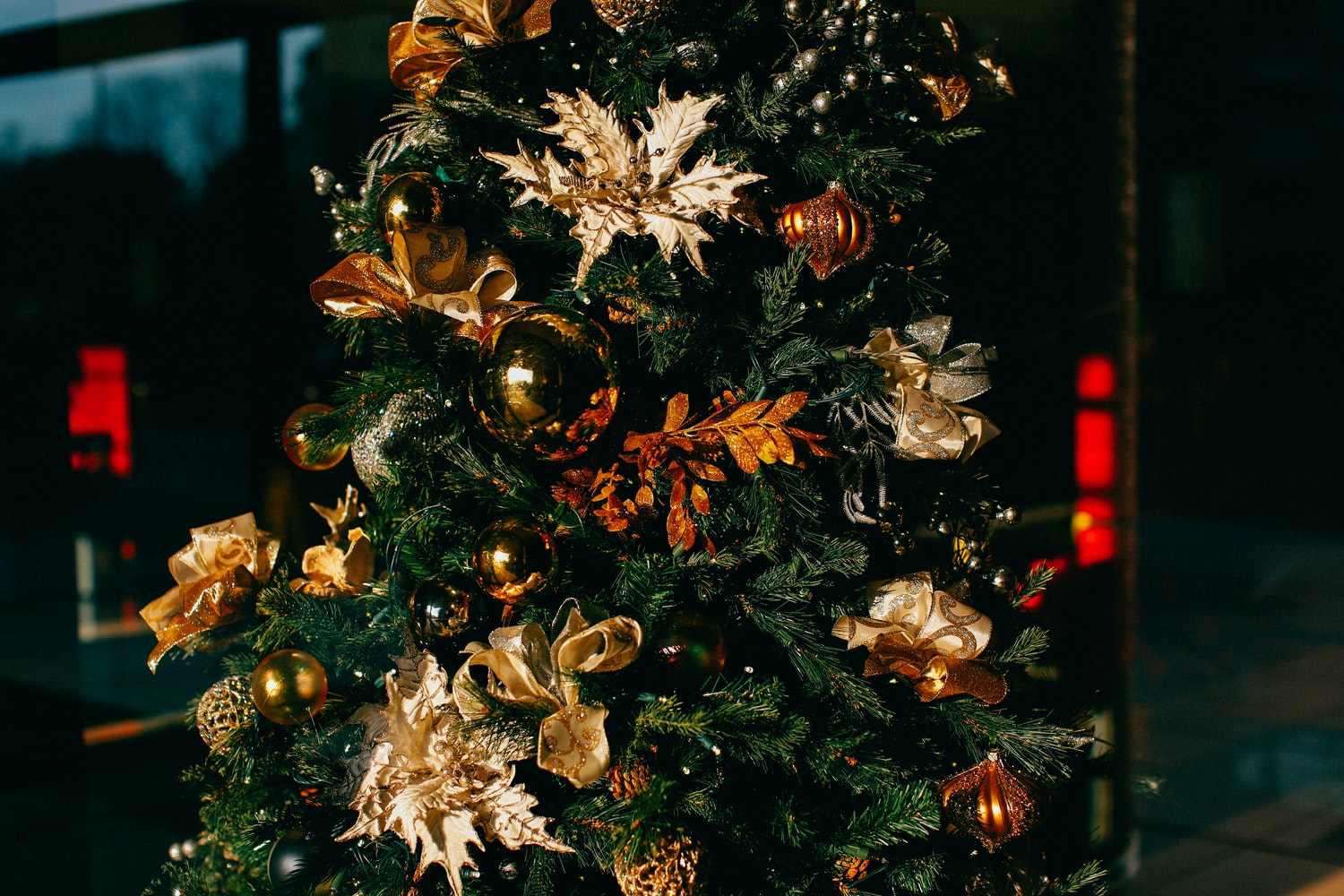 What's on in Rockingham this Christmas