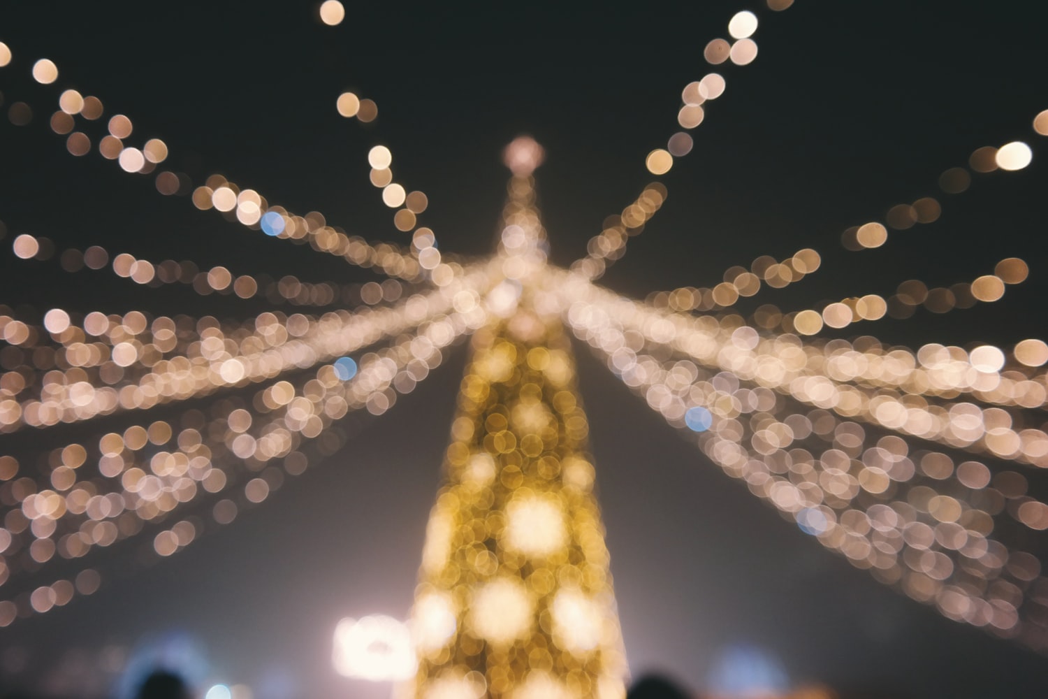What's on in Perth this Christmas