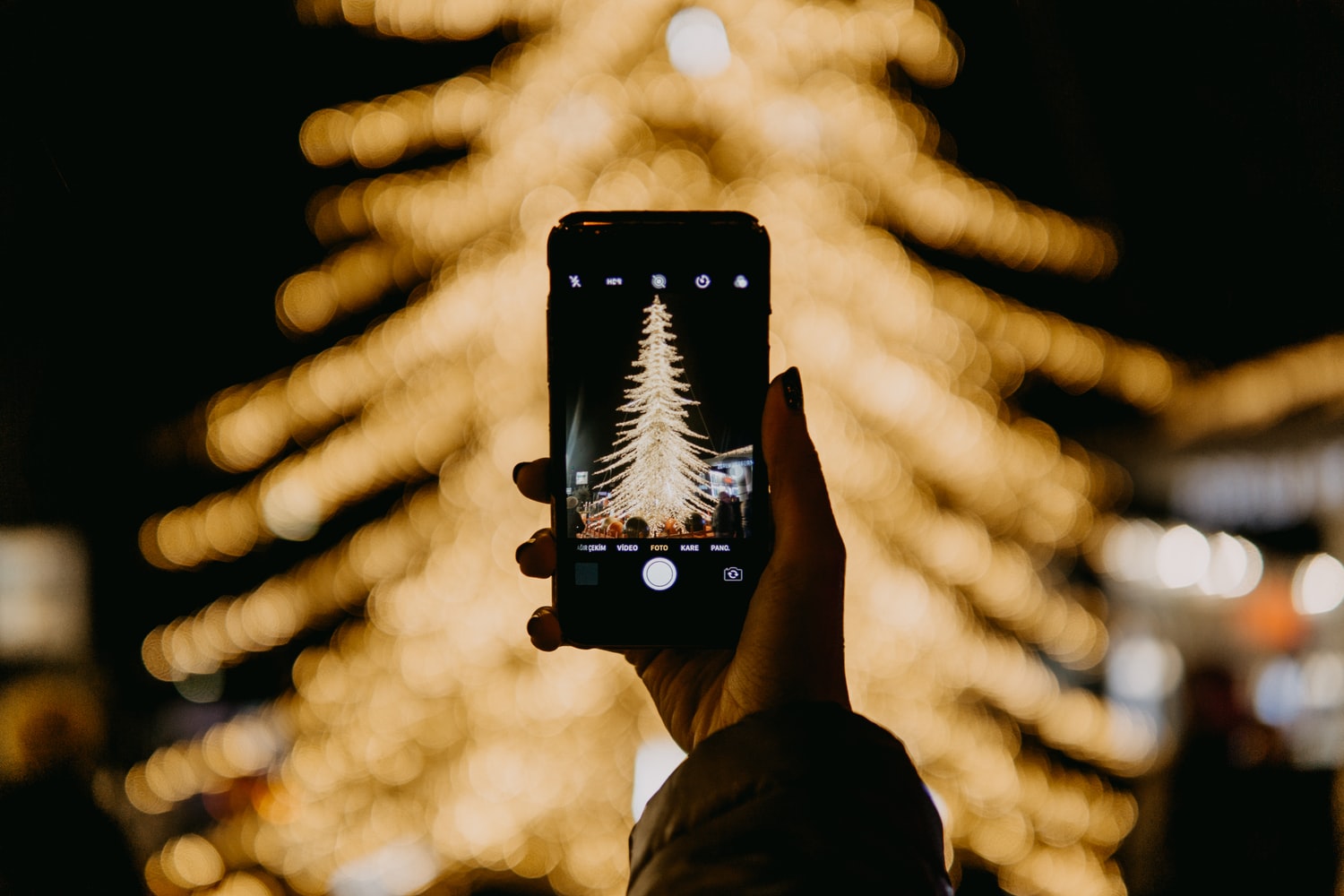 What's on in Scarborough this Christmas