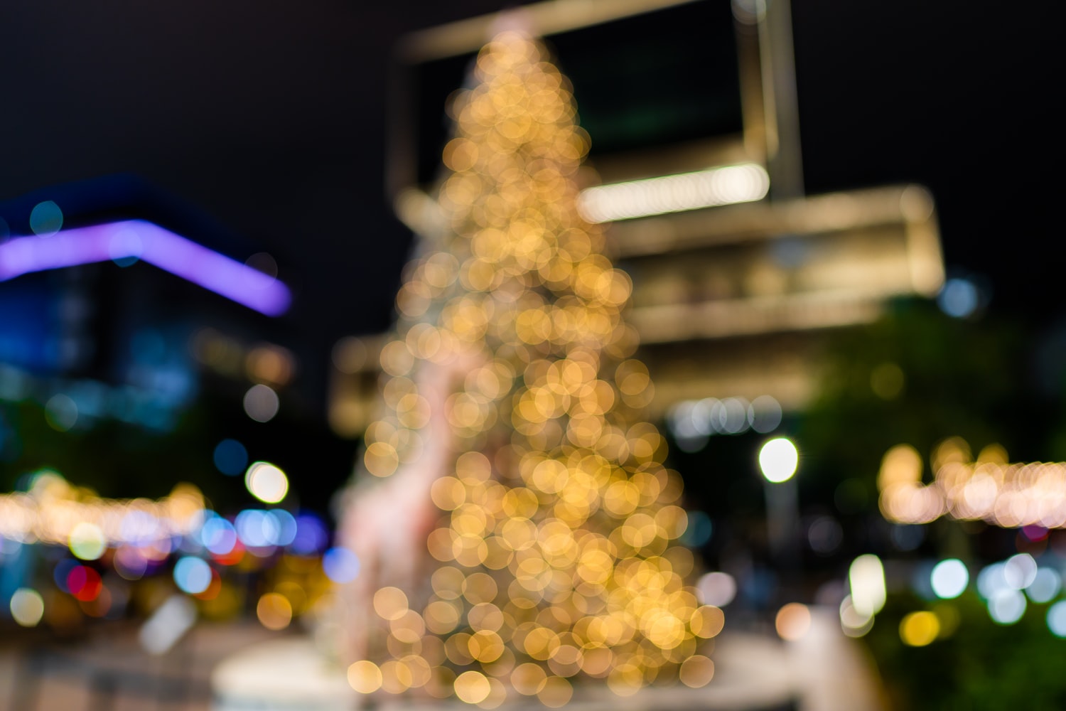 What's on in Cottesloe this Christmas