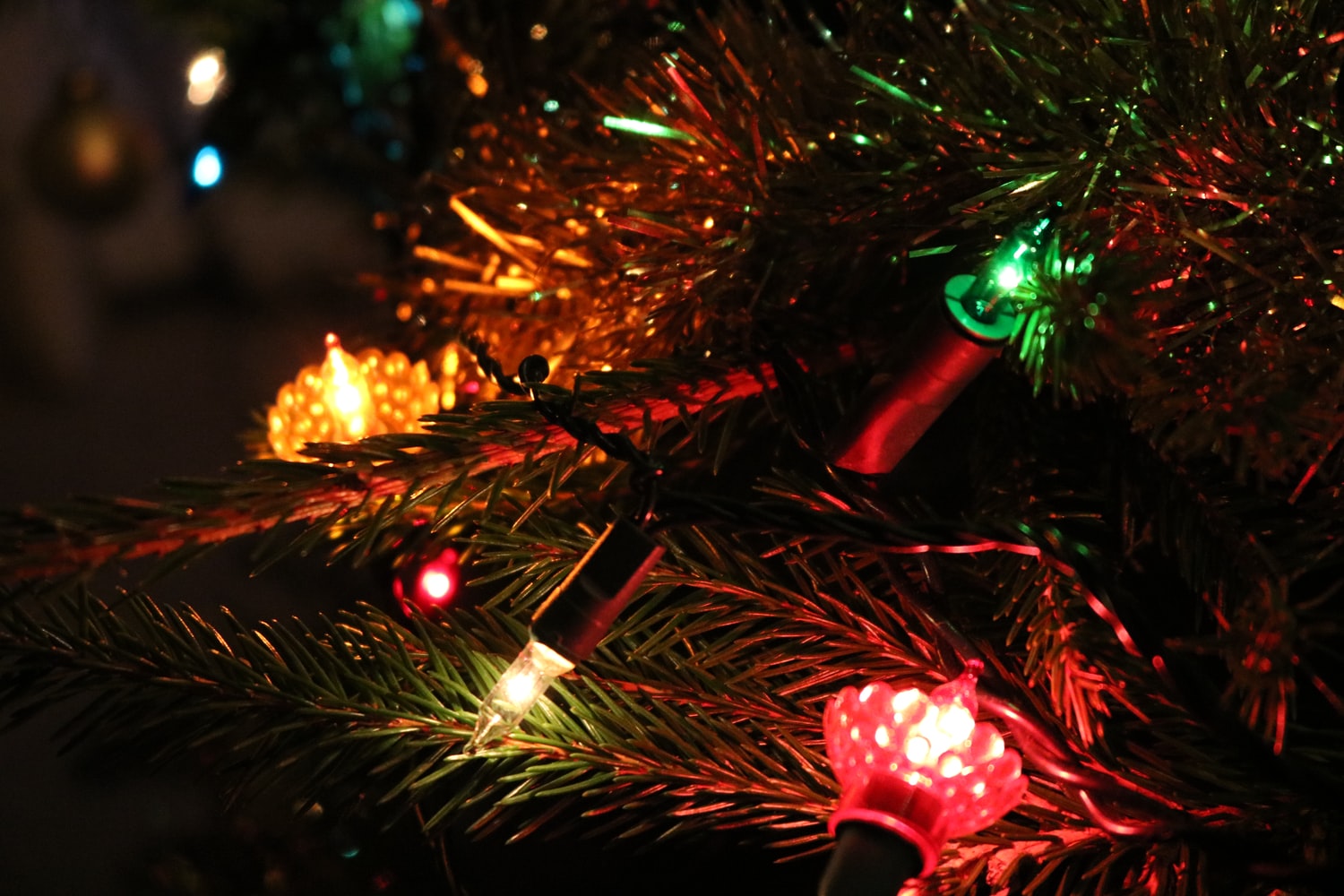 What's on in Kalgoorlie this Christmas What's on in Kalgoorlie this Christmas