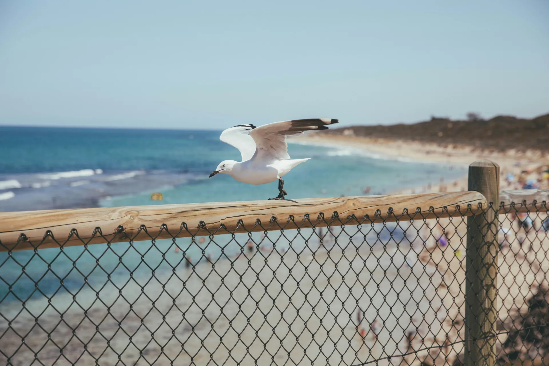 Yanchep Lagoon, Yanchep, Australia day trips from perth