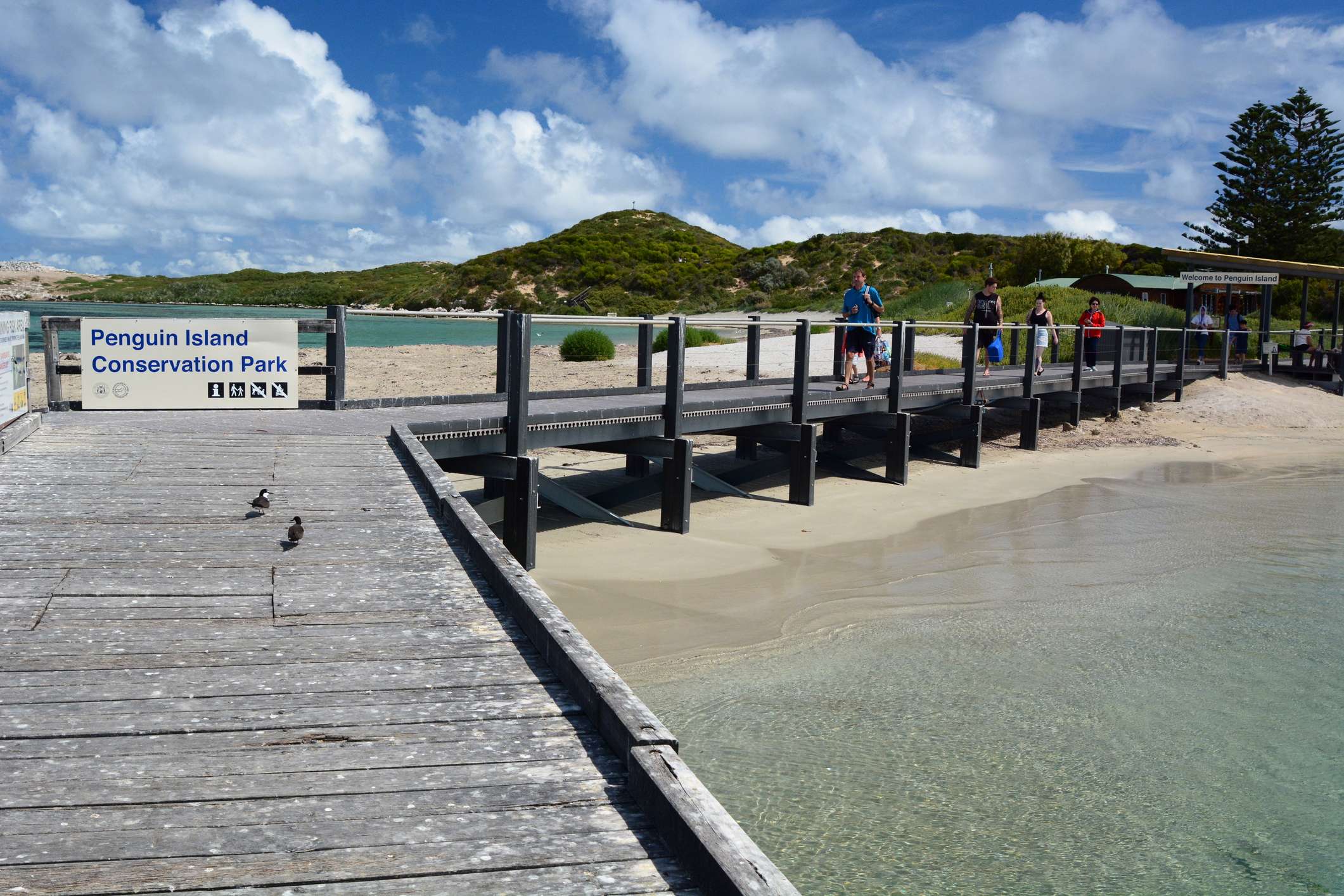 Top Five Australian Islands to Visit